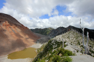 沙伊顿,智利,火山,灰树,巴塔哥尼亚安第斯山脉,熏三文鱼,火山岩,死亡的植物,火山口,灰