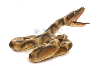 蛇,玩具,大头贴,水平画幅,无人,道具,螺旋桨飞机,白色背景,塑胶,背景分离