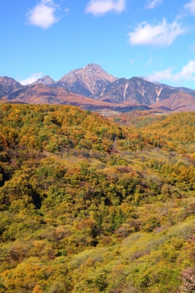秋天,八岳山,巴岳山,山梨县,长野县,鸡爪枫,垂直画幅,天空,里山,林区
