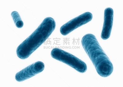 特写,细菌,三维图形,显微镜,水,绘画插图,计算机制图,计算机图形学,枯草芽孢杆菌,解剖的物质