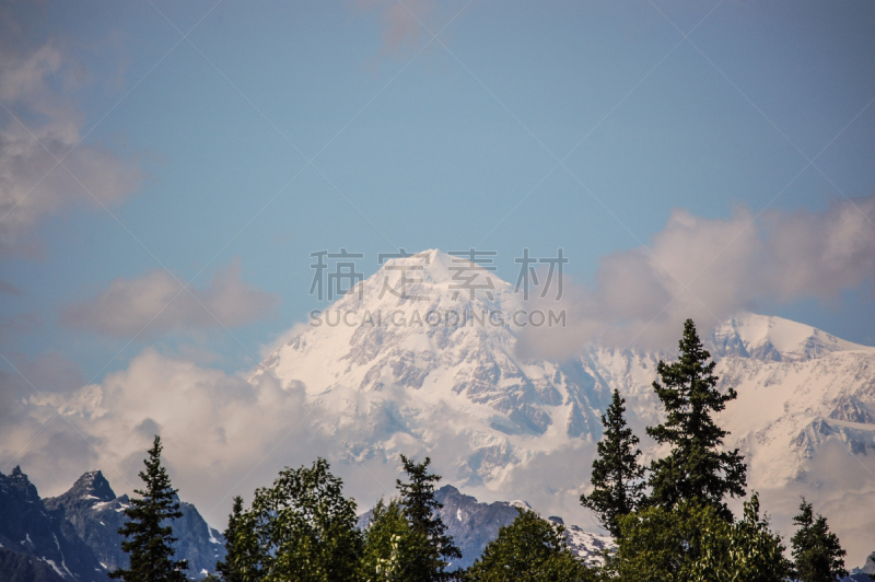 麦金利峰,山,内阿拉斯加,阿拉斯加山脉,冻原,水平画幅,枝繁叶茂,雪,无人,夏天