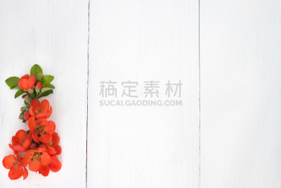 背景,木制,春天,花朵,留白,高视角,纯净,夏天,仅一朵花,白色