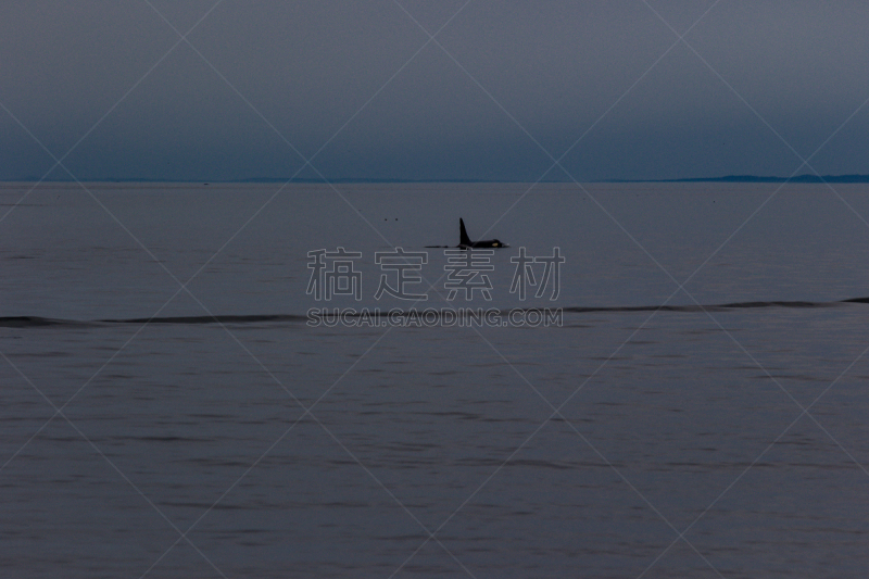 大熊雨林,水,天空,水平画幅,沙子,无人,沙洲,夏天,户外,湖