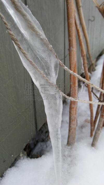 四季,垂直画幅,选择对焦,雪,无人,夏天,户外,特写,前景聚焦,冬天