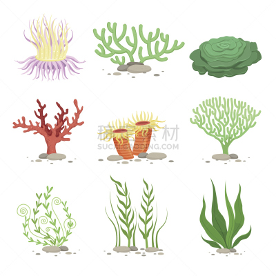 绘画插图,水下,矢量,白色,高雅,幽默,卡通,植物群,海藻灰,珊瑚