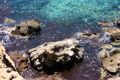 徒步旅行,克里特岛,海蛇,礁石,海龟,水,野生动物,水平画幅,无人,蛇
