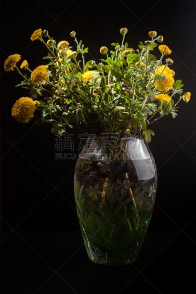 仅一朵花,静物,香江（越南）,历书,垂直画幅,水,夏天,明亮,花束