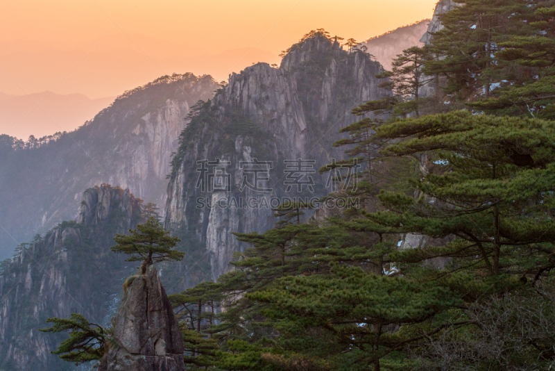 黄山山脉,安徽省,松树,中国,地形,桨叉架船,世界遗产,一只动物,旅游