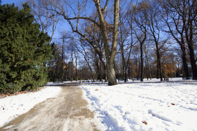 雪,小路,埃朗根,天空,美,公园,长椅,休闲活动,水平画幅,无人
