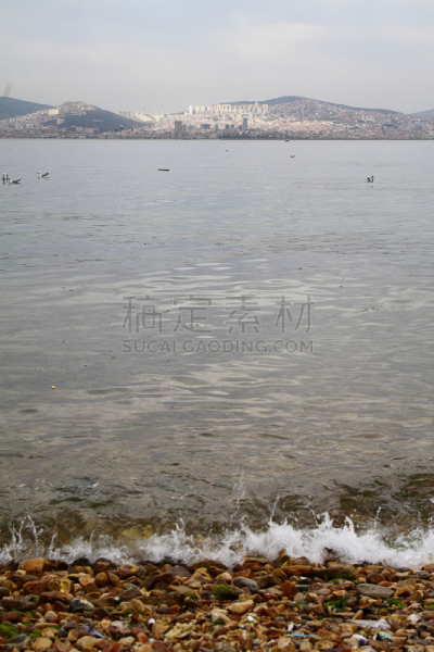 马尔马拉海地区,海鸥,垂直画幅,留白,地形,无人,户外,城市,海洋,海滩
