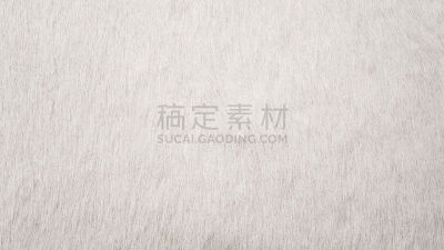 白色,牛皮,水平画幅,套色版,无人,动物身体部位,皮革,比勒,干净,模板