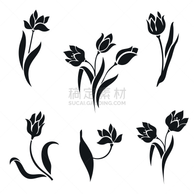 郁金香,白色背景,植物,户外,绘画插图,自然,黄色,兰花,符号,图像