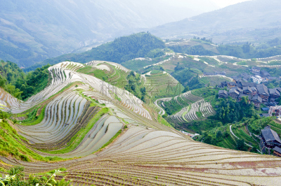 中国,地形,梯田,壮族,广西壮族自治区,瑶族,龙脊梯田,龙胜,阳朔,桂林