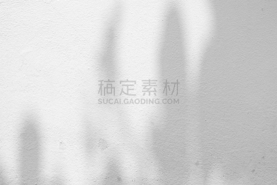 阴影,叶子,混凝土墙,白色,背景聚焦,白涂料,式样,灰色,水平画幅,建筑