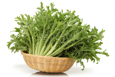 菊苣,白色背景,分离着色,饮食,水平画幅,绿色,无人,有机食品,皱叶莴苣,篮子