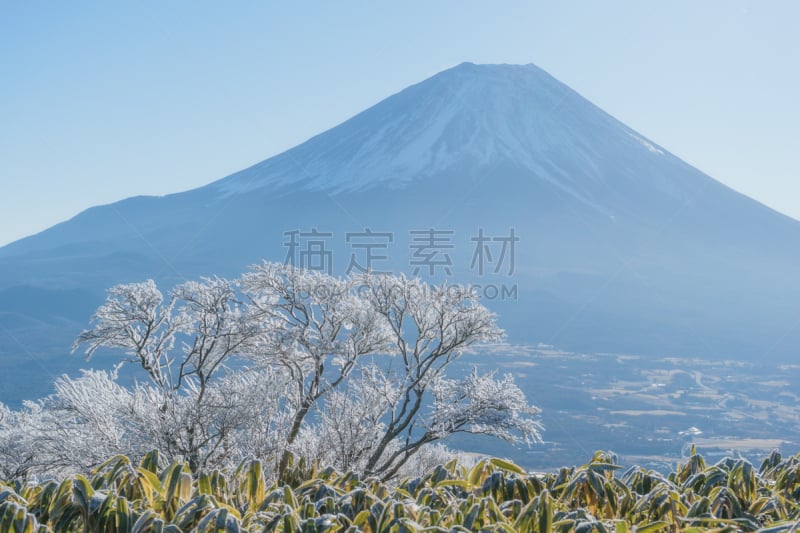 富士山,霜,天空,水平画幅,雪,无人,户外,竹子叶,山脊,白色