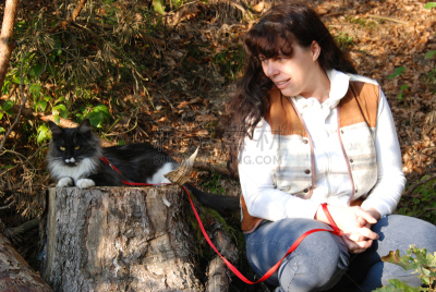 猫,自然,美,女人,褐色,水平画幅,家畜,秋天,美人,欧洲