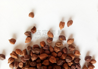 干的,自然,成分,豌豆,褐色,水平画幅,素食,马萨拉,生食