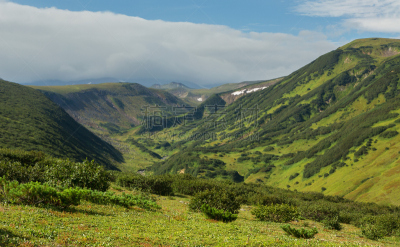 夏天,自然美,风景,山口,阿瓦钦斯基火山,火山学,火山岩,熔岩,水平画幅,枝繁叶茂