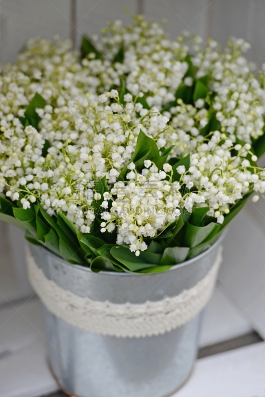百合花,铃兰,垂直画幅,美,生日,仅一朵花,花束,白色,母亲节,庆祝