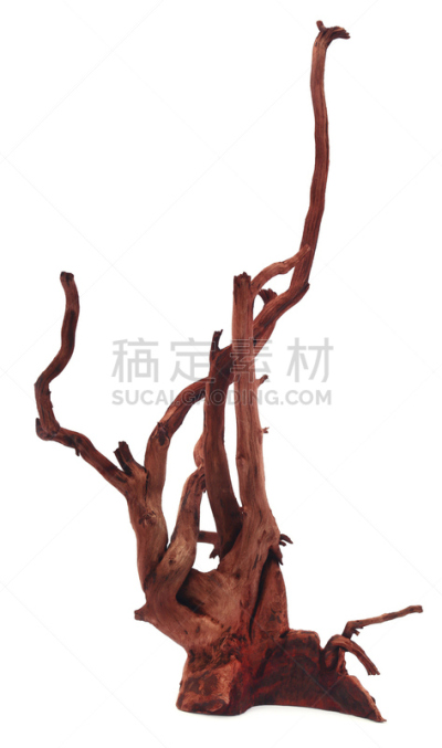 自然,垂直画幅,褐色,风化的,木制,无人,白色背景,背景分离,雪堆,影棚拍摄