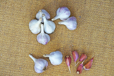 熟的,大蒜,芳香的,水平画幅,素食,无人,生食,家庭生活,维生素,组物体