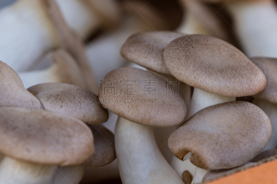 蘑菇,清新,饮食,褐色,美国,水平画幅,无人,有机食品,加利福尼亚,蛋白质