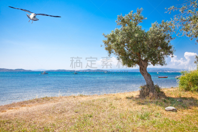 希腊,风景,爱琴海,萨伦古琴,半岛,水,天空,水平画幅,沙子,无人