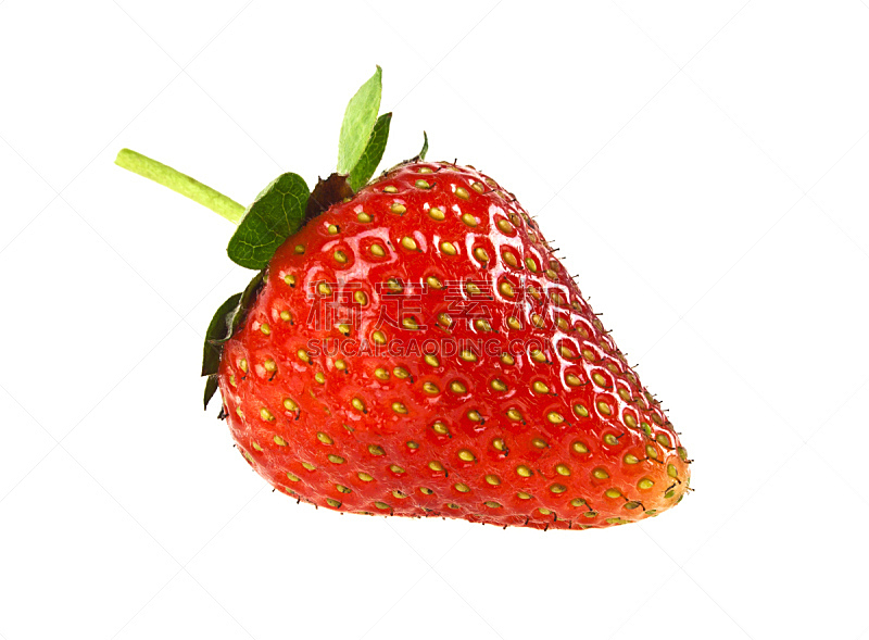 草莓,菜园,白色背景,分离着色,水平画幅,水果,有机食品,乌克兰,浆果,熟的