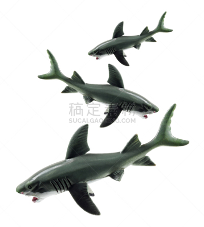 玩具鲨鱼,垂直画幅,领导能力,恐惧,动物鳍,危险,尾巴,鱼类,动物牙齿,橡胶