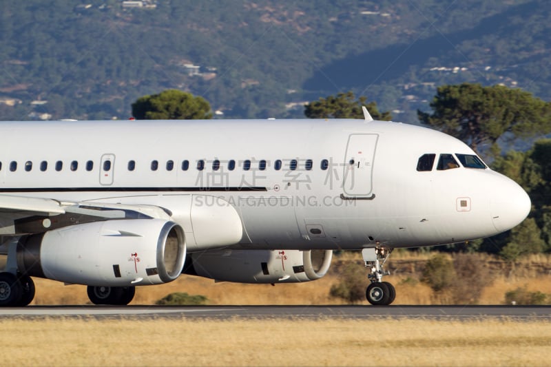 空客a319,商用机,飞机跑道,飞机,水平画幅,交通方式,航空业,飞行器,空中客车a320,摄影