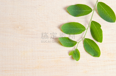 辣木植物,叶子,背景,厚木板,自然,水平画幅,绿色,无人,有机食品,生食