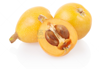 枇杷,褐色,水平画幅,无人,组物体,异国情调,部分,白色,清新,横截面