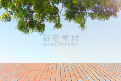 天空,木制,阳台,前面,蓝额亚马逊鹦鹉,文件管理,火炬塔,透过窗户往外看,留白,水平画幅