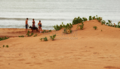 punta del este,乌拉圭,自然,南美,水平画幅,无人,夏天,户外,岛,海洋