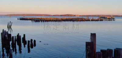 缅因州,木桩,波特兰,水平画幅,风化的,无人,缅因海湾,户外,过去,滨水