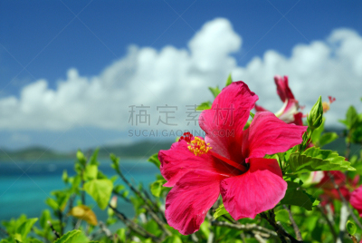 木槿属,海洋,冲绳县,八月,石垣岛,天空,美,度假胜地,水平画幅,无人