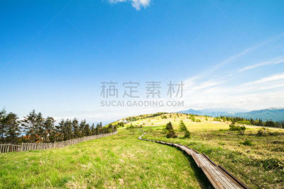 长野县,自然,地形,日本,美原,公园,风景,台阶楼梯,一只动物,布置