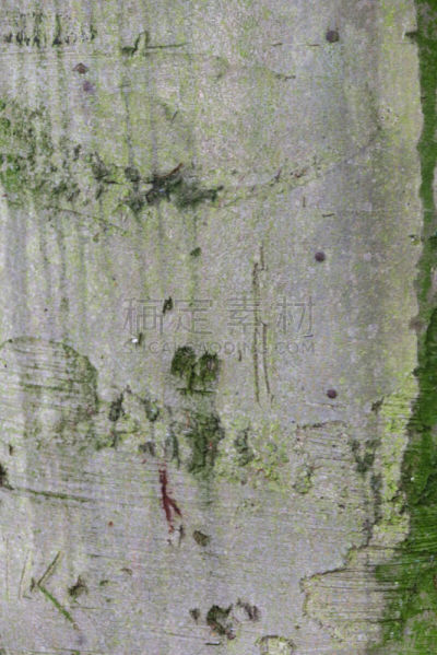 纹理效果,垂直画幅,边框,无人,苔藓,英格兰,几何形状,户外,光,凌乱