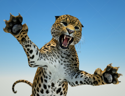 大型猫科动物,野生猫科动物,美,水平画幅,绘画插图,符号,巨大的,爪子,动物身体部位,计算机制图