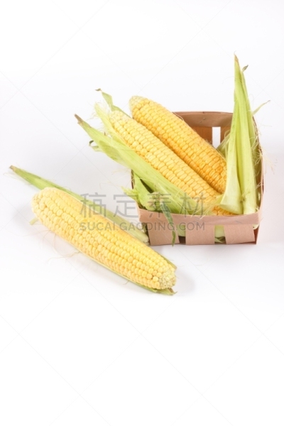 老玉米,分离着色,白色背景,叶子,垂直画幅,玉米籽粒,素食,在上面,植物