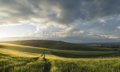 全景,南丘,夏天,自然美,地形,农业,自然,季节,小麦,风景