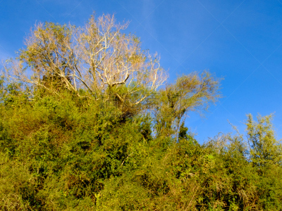 拉斯魁瓦斯,天空,水平画幅,山,月亮,泥土,捕捞鱼,户外,著名景点,风景