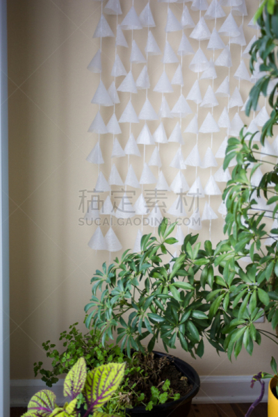 线绳,室内植物,自制的,白皮书,垂直画幅,美,无人,现代,白色,植物
