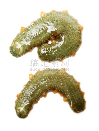 海参,海产,美味,白色背景,接力赛,鱼市,海龟,垂直画幅,无人,日本
