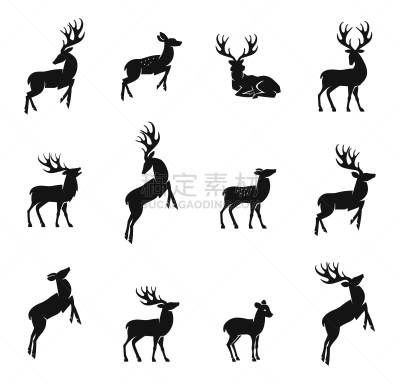鹿,母鹿,雄鹿,自然,野生动物,绘画插图,计算机制图,计算机图形学,有角的
