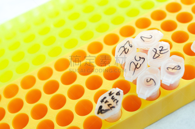支架,试管,生物科技,水平画幅,装管,微生物学,无人,科学实验,科学,组物体