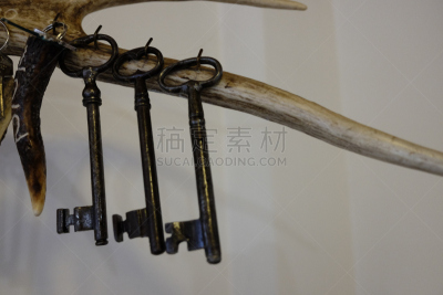 鹿,钥匙圈,有角的,锁匠,水平画幅,无人,房屋,保险箱,安全,门