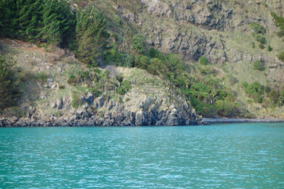 akaroa,都市风景,城镇,风景,图像,海洋,大洋洲,著名景点,新西兰,无人