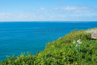 拉古娜海滩,南加利福尼亚,自然美,美国西部,美国,水平画幅,无人,夏天,户外,加利福尼亚